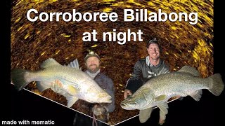 Corroboree Billabong at night [upl. by Aseuqram]