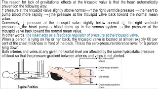 Compliance destinsibilitypulse wave velocity and amplitude wavewindkessel Effect of gravity شرح [upl. by Scheck600]