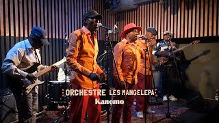 Orchestre les Mangelepa quotKanemoquot [upl. by Irrep474]