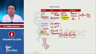 RESUMEN DE TRAUMATOLOGÍA  Esquemas de Repaso  Pre Internado QxMedic [upl. by Drusie]