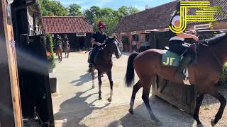 Newmarket Gallops 290624  Julia Feilden Racing [upl. by Assened]