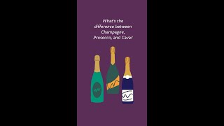 Champagne vs Prosecco vs Cava [upl. by Ailemap850]