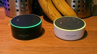 HowTo Alexa Calling Messaging amp DropIn on Amazon Echo [upl. by Akaya]