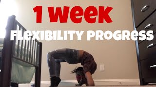 Flexibility progress in 2 weeks [upl. by Rennerb]