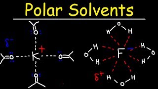 Polar Protic Solvents and Polar Aprotic Solvents For SN1 amp SN2 Reactions [upl. by Nede164]