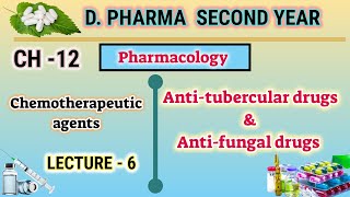 Anti tubercular drugs  Anti fungal drugs  DOTS  CH12  L6  Pharmacology  DPharm second year [upl. by Malley487]