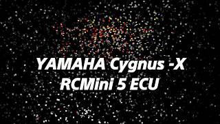 YAMAHA Cygnus X with aRacer RCMini5 ECU [upl. by Merce874]