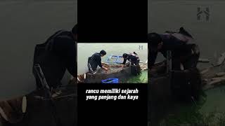 Kenali Rancu Raja Ikan Mas Koki [upl. by Yt]