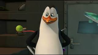 Penguins of Madagascar  Stupid Kowalski with his toes [upl. by Illa]