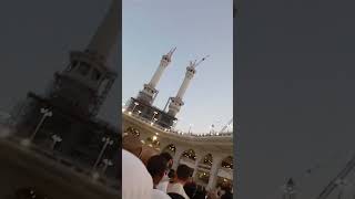 Subhanallahwal hamdulillahla ilaha il lallahsukoon ❤️😍 [upl. by Shepley84]