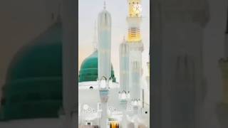 Faisle Gumbade Khazra KI Manki  ShortsShortfeedytshirtYoutubeshortShortvideo🌹🤲🌹🤲🌹 [upl. by Okiam]