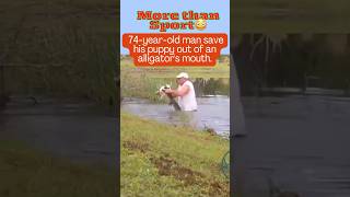 Unbelievable 74yearold man in Florida pulled his puppy out of an alligators mouth shorts [upl. by Yerfoeg]