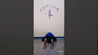 Shashankasana  The Rabbit Pose शशांकासन [upl. by Aura]