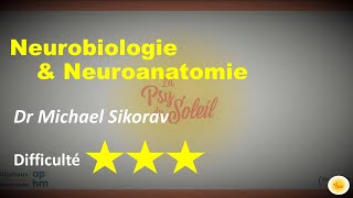 Neurobiologie amp neuroanatomie  Dr Michael SIKORAV [upl. by Ginsberg105]