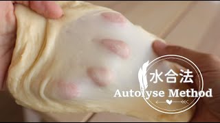 How to AUTOLYSE dough 「水合法」揉麵糰更輕鬆揉出薄膜的方式  俏媽咪潔思米 [upl. by Deryl]