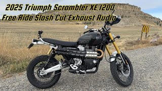 2025 Triumph Scrambler 1200 XE  Exhaust Sound Free Ride [upl. by Jankey]