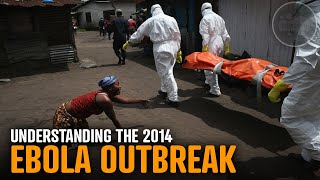 Understanding the 2014 Ebola Outbreak [upl. by Jumbala]