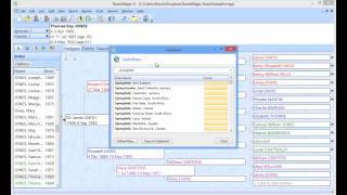 Using the RootsMagic Gazetteer [upl. by Wilkison]