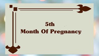 5 Months Of Pregnancy 5th Month Pregnancy Symptoms  Baby In 20 Weeks  Baby Development [upl. by Dyl527]