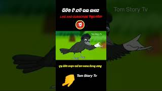 Kalu Tusion odia gapa  tiki chadhei gapa  odia cartoon  odia moral story [upl. by Yevi]