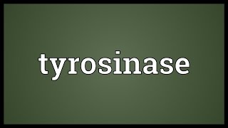 Tyrosinase Meaning [upl. by Fidelity]