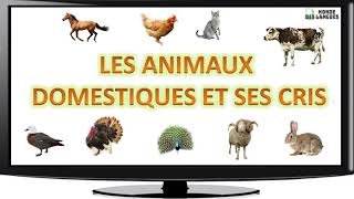 Les animaux domestiques et ses cris [upl. by Eirak]