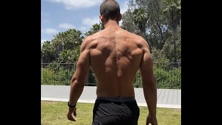 The plan for doubling your max pull ups [upl. by Ellertnom826]