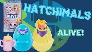 Hatchimals Alive Unboxing Review [upl. by Erline]