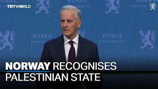 Norwegians welcome decision to recognise Palestinian state [upl. by Iror]