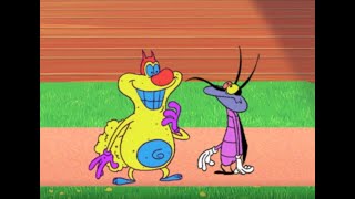 हिंदी Oggy and the Cockroaches  All Out Of Shape S02E86  Hindi Cartoons for Kids [upl. by Nipsirc]