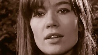 FRANCOISE HARDY  Lamitié remix 2011  2023 [upl. by Esidnac]