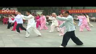 Yang Shi Taijiquan 85 Shi 2  Master Zhao Youbin 赵幼斌 [upl. by Haym]