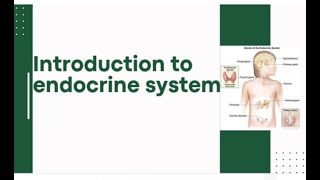 Lesson 1 endocrine system [upl. by Eriuqs]