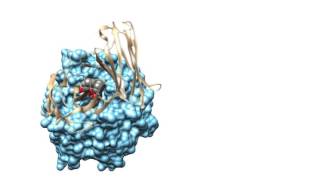 Proteinprotein interaction inhibition [upl. by Cart]