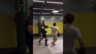 😳 KHAMZAT CHIMAEV SHOCKED BY SPARRING PARTNER [upl. by Dombrowski]