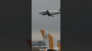 a318 amazing arrival planes aviation airport planespotting shorts frankfurtairport fraport [upl. by Whiney]