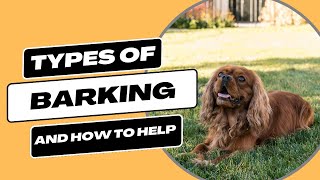 Types of Barking How To Identify and Handle [upl. by Calore]