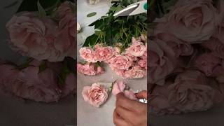 PT 1 Floral Preservation in Silica Gel [upl. by Mariken]