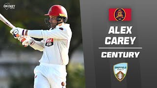 Carey hits a ton to carry on sensational form  Sheffield Shield 202425 [upl. by Irby]