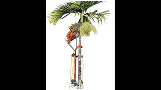 Arecanut  Supari  Betelnut Tree Climber Machine [upl. by Ajan170]