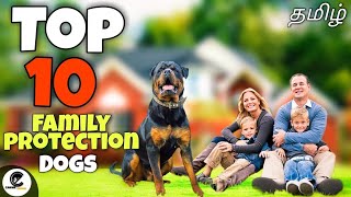 Top 10 family guard dogs in the world  best protection dogs for families with kids [upl. by Kennedy912]