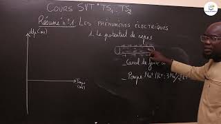 Cours  Tle S1 amp S2  SVT Résumé de cours  Le tissu nerveux les phénomènes électriques Suite 1 [upl. by Dorraj299]