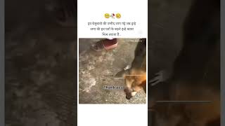 Inko bhi pta h khane ke liye kuch dena padta h 😞😞 [upl. by Iilek]