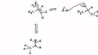 Imines and Enamines [upl. by Yelahc]