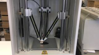 Custom Delta 3D Printer 100mms demo [upl. by Merlina]