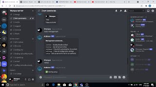 How to make all in one discord bot with 100 command in replit [upl. by Niar]