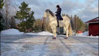 Utilisation des hipposandales Flex en hiver Finlande [upl. by Llehcim]