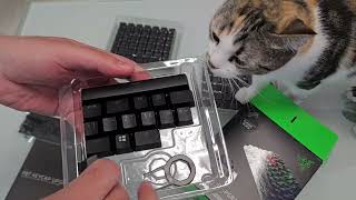 Razer PBT keycaps upgrade  unboxing mounting and sound test [upl. by Octavia]