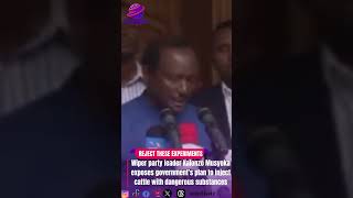 Kalonzo Musyoka EXPOSES Governments Shocking Cattle Injection Plan [upl. by Oine533]