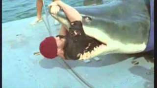 Very Funny Shark Commercial TV Advertisement Video for John West Tuna Snack Pots Low Calories 2003 [upl. by Yarled]